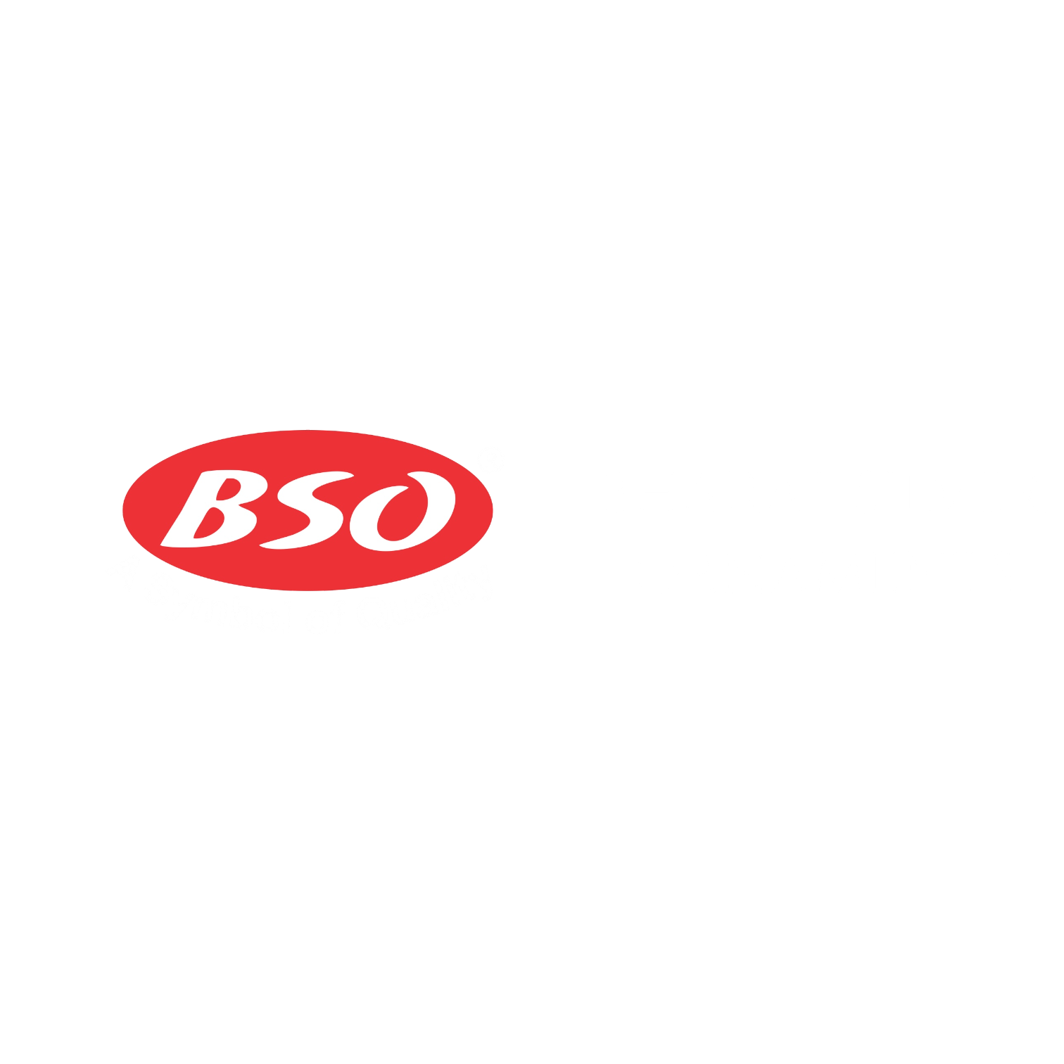 BSO Logo